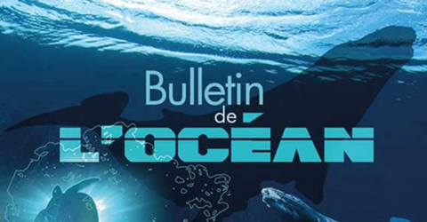 Bulletin de l'océan